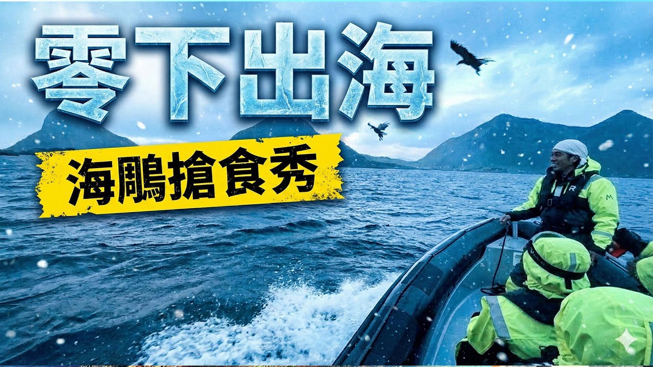 在北極圈出海是一種什麼體驗？挑戰捕撈「活了100年」的麵包蟹！海鵰搶食秀太震撼 🦅 (北歐自駕)