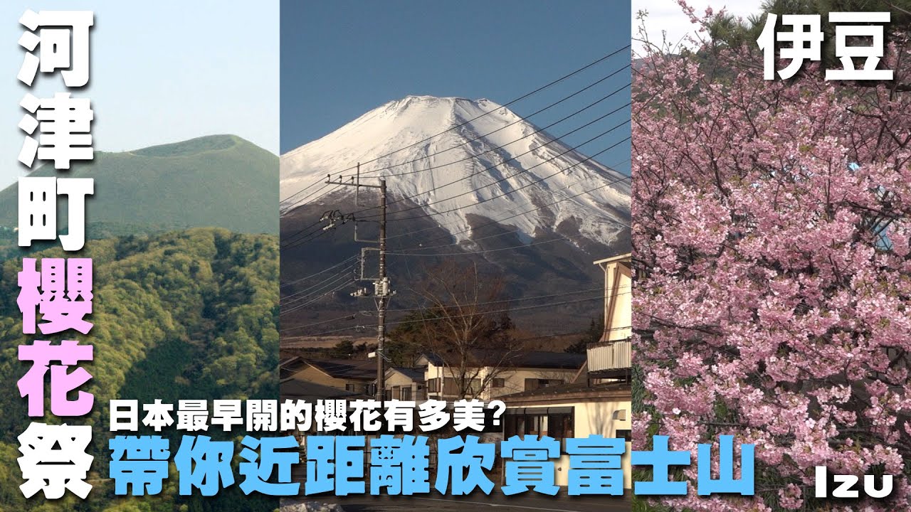《你的名字》取景的山地會定期燒山？日本最早盛開的櫻花看這裡　~伊豆旅遊處處有驚喜~