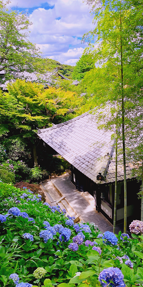 伊 豆 半 島