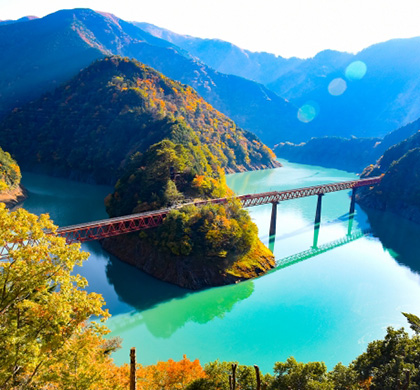 伊豆半島夏秋遊6日~秋季紅楓