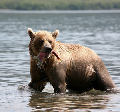 世界盡頭的壯遊西伯利亞鐵道＋勘察加火山秘境13天